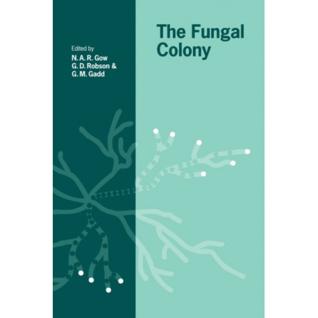The Fungal Colony