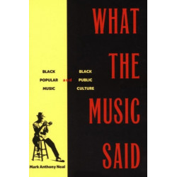 What the Music Said: Black Popular Music and Black Public Culture