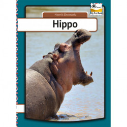 Hippo