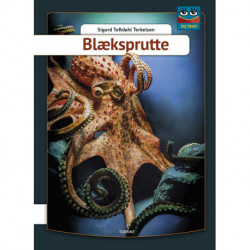 Blæksprutte