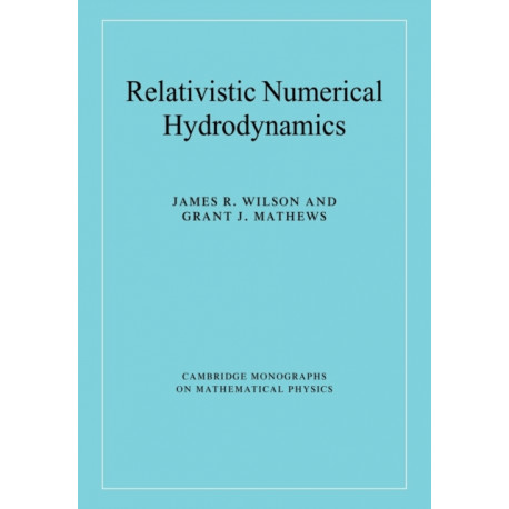 Relativistic Numerical Hydrodynamics