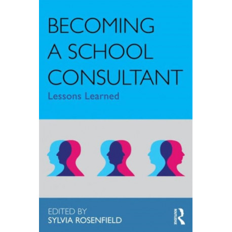 Becoming a School Consultant: Lessons Learned