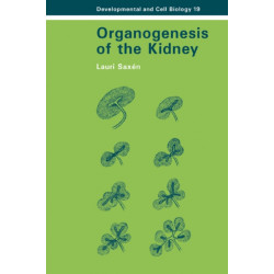 Organogenesis of the Kidney