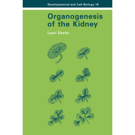 Organogenesis of the Kidney