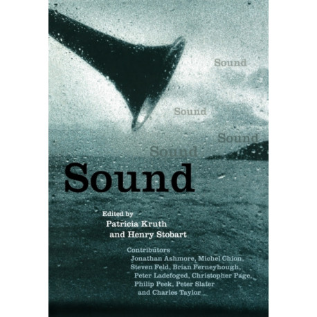 Sound: Darwin College Lectures, 11