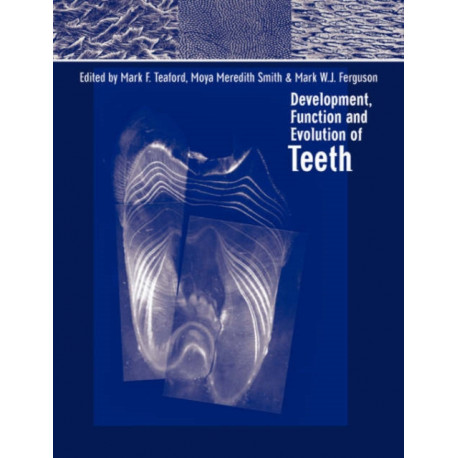 Development, Function and Evolution of Teeth
