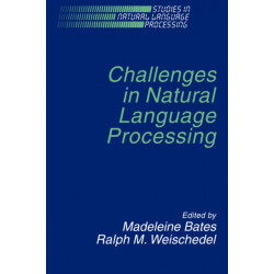 Challenges in Natural Language Processing