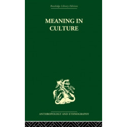 Meaning in Culture