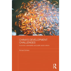 China's Development Challenges: Economic Vulnerability and Public Sector Reform