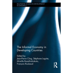 The Informal Economy in Developing Countries
