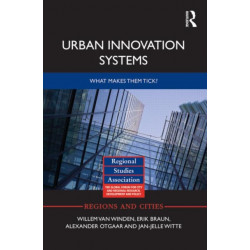 Urban Innovation Systems: What makes them tick?