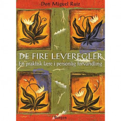 De fire leveregler: En praktisk lære i personlig forvandling