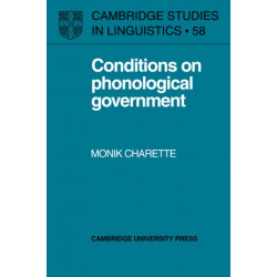 Conditions on Phonological Government
