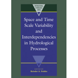 Space and Time Scale Variability and Interdependencies in Hydrological Processes