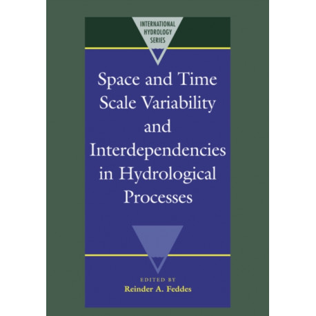 Space and Time Scale Variability and Interdependencies in Hydrological Processes