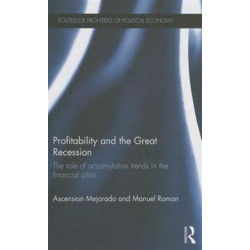 Profitability and the Great Recession: The Role of Accumulation Trends in the Financial Crisis