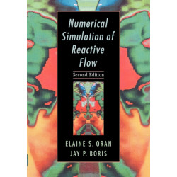 Numerical Simulation of Reactive Flow