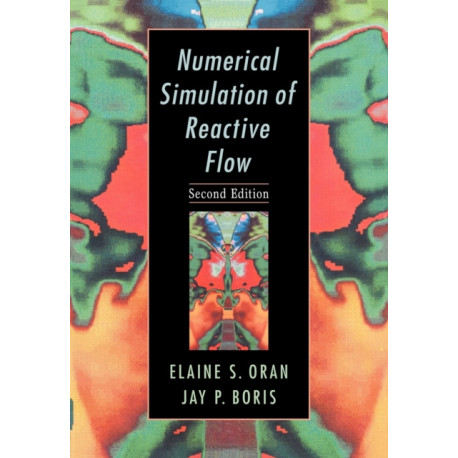 Numerical Simulation of Reactive Flow