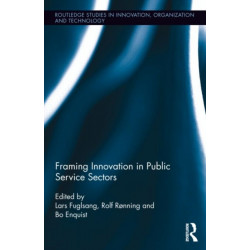 Framing Innovation in Public Service Sectors