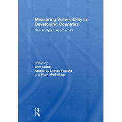 Measuring Vulnerability in Developing Countries: New Analytical Approaches