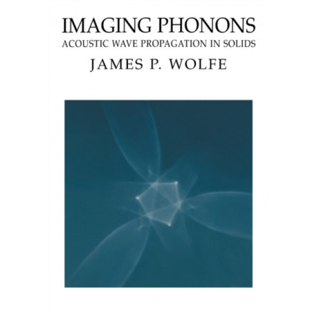 Imaging Phonons: Acoustic Wave Propagation in Solids