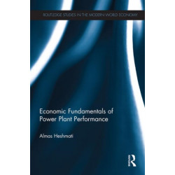 Economic Fundamentals of Power Plant Performance