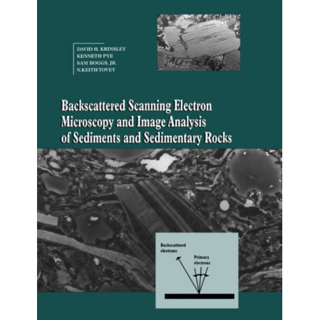 Backscattered Scanning Electron Microscopy and Image Analysis of Sediments and Sedimentary Rocks