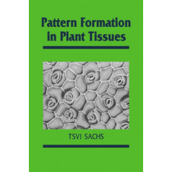 Pattern Formation in Plant Tissues