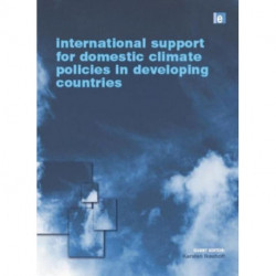 International Support for Domestic Climate Policies in Developing Countries