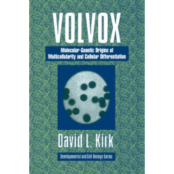 Volvox: A Search for the Molecular and Genetic Origins of Multicellularity and Cellular Differentiation