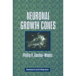 Neuronal Growth Cones