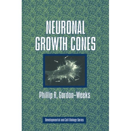 Neuronal Growth Cones