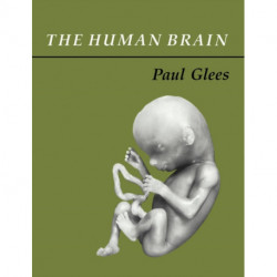 The Human Brain