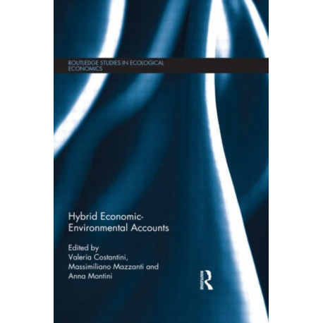 Hybrid Economic-Environmental Accounts