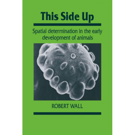 This Side Up: Spatial Determination in the Early Development of Animals