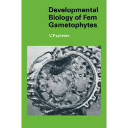 Developmental Biology of Fern Gametophytes
