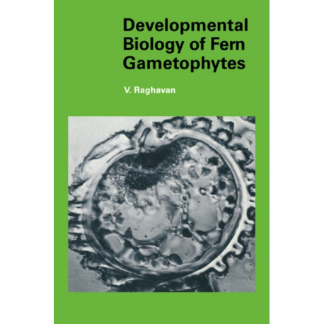 Developmental Biology of Fern Gametophytes