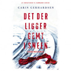 Det der ligger gemt i sneen