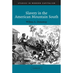 Slavery in the American Mountain South