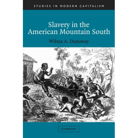 Slavery in the American Mountain South