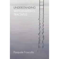 Understanding Wittgenstein's Tractatus