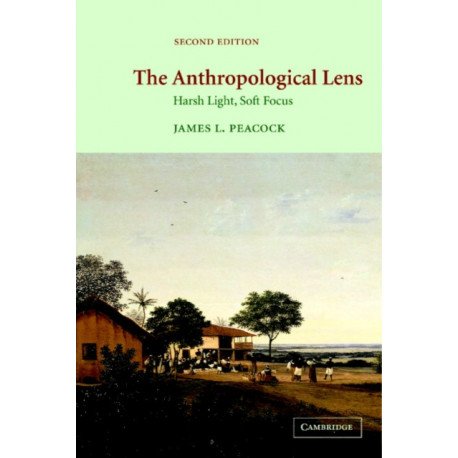 The Anthropological Lens: Harsh Light, Soft Focus