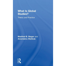 What Is Global Studies?: Theory & Practice