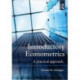 Introductory Econometrics: A Practical Approach