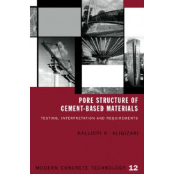 Pore Structure of Cement-Based Materials: Testing, Interpretation and Requirements