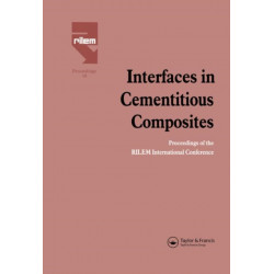 Interfaces in Cementitious Composites
