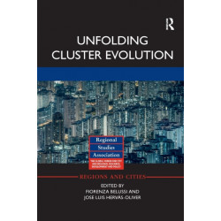 Unfolding Cluster Evolution
