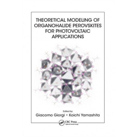 Theoretical Modeling of Organohalide Perovskites for Photovoltaic Applications