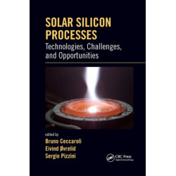 Solar Silicon Processes: Technologies, Challenges, and Opportunities