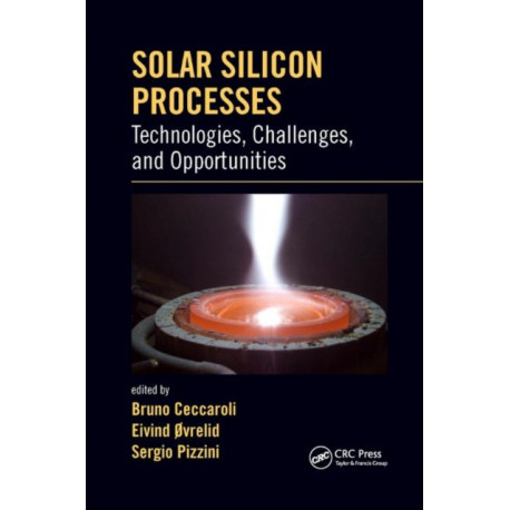 Solar Silicon Processes: Technologies, Challenges, and Opportunities